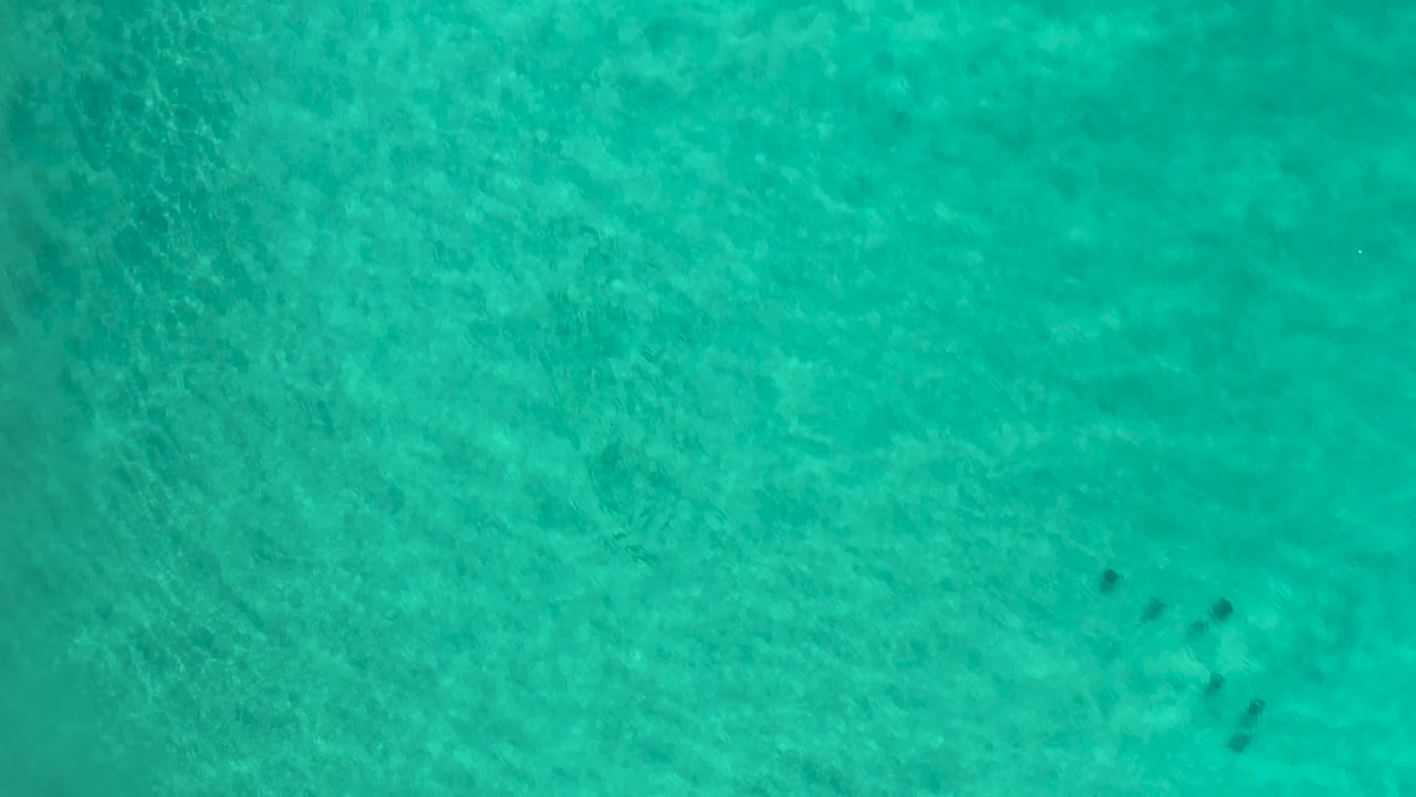 Turtles gliding under clear teal water