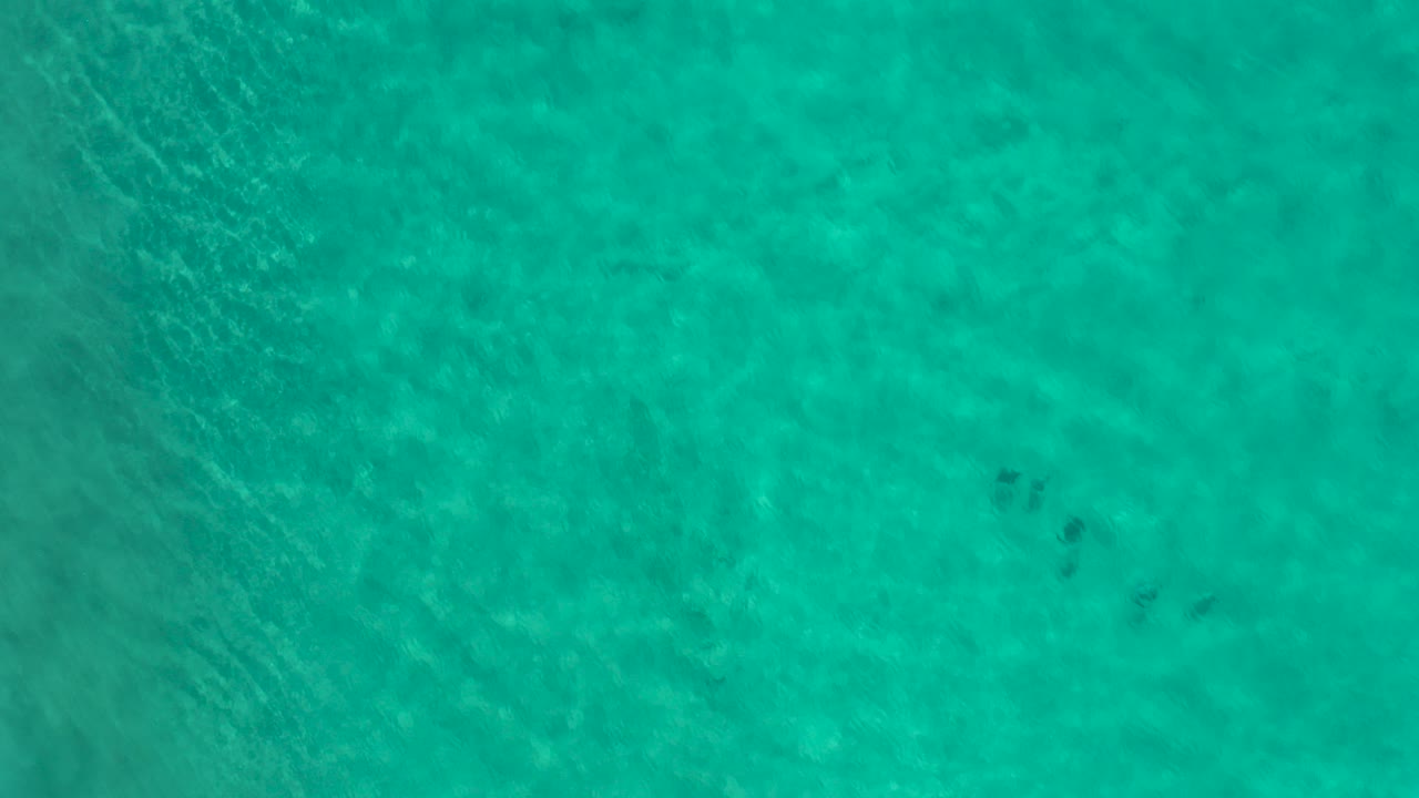 Overhead view of turquoise green water in Los Cabos, Mexico, with faint fish shapes under ripples and no visible people.