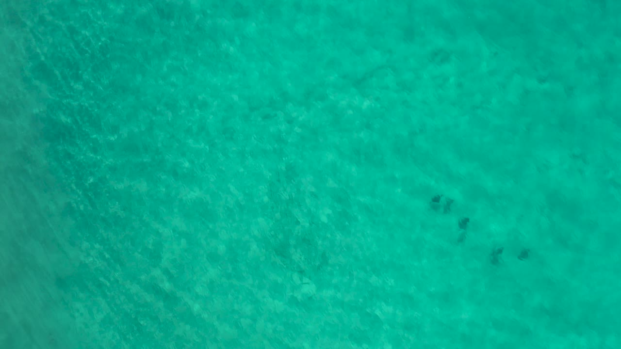 Overhead view of rippling green water in Los Cabos with small fish shapes on the right side and no visible people.