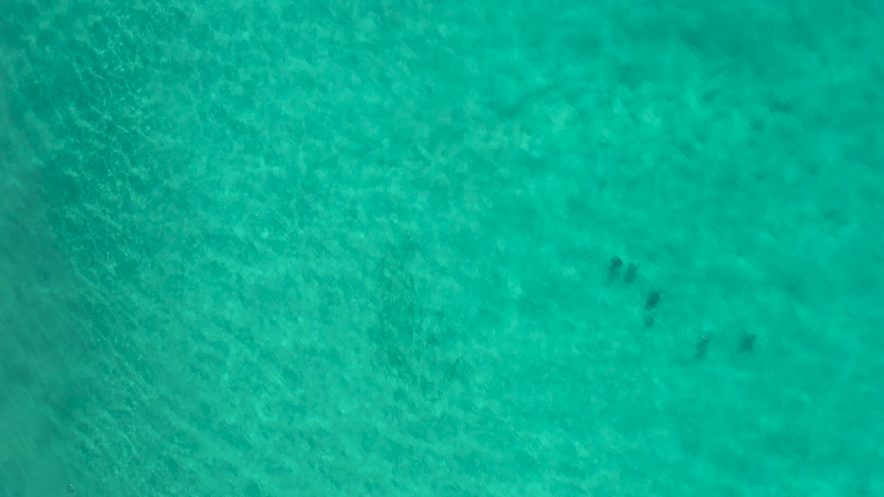 Overhead Los Cabos frame with shallow turquoise water, pale seabed texture, a darker fish cluster below the surface, and no visible people.