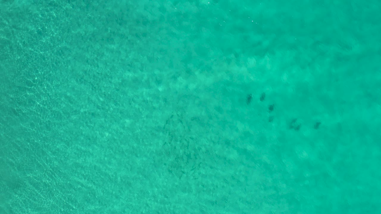 Top-down view of clear turquoise water in Los Cabos, Mexico, with faint wave texture and a small cluster of dark fish-like or jellyfish-like shapes near the upper center, no visible people.