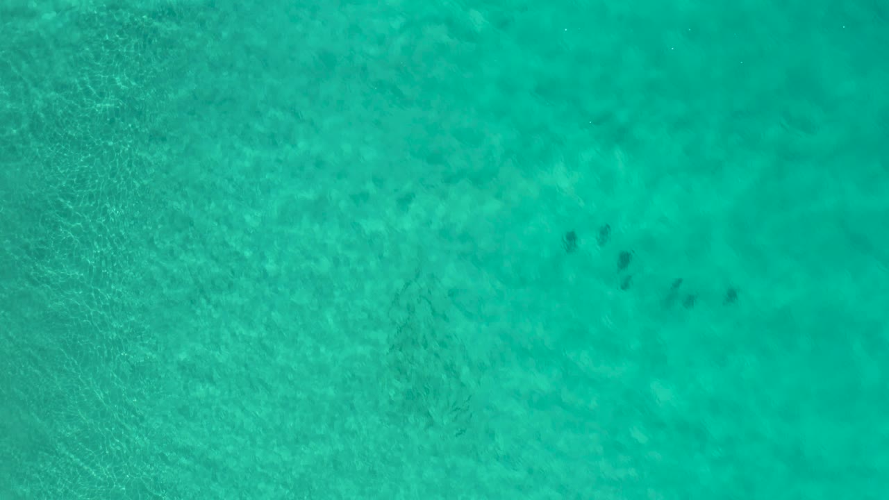 Top-down Los Cabos water view with fine ripples, mottled underwater texture, and a small set of dark fish-like or jellyfish-like forms near the upper right, no visible people.