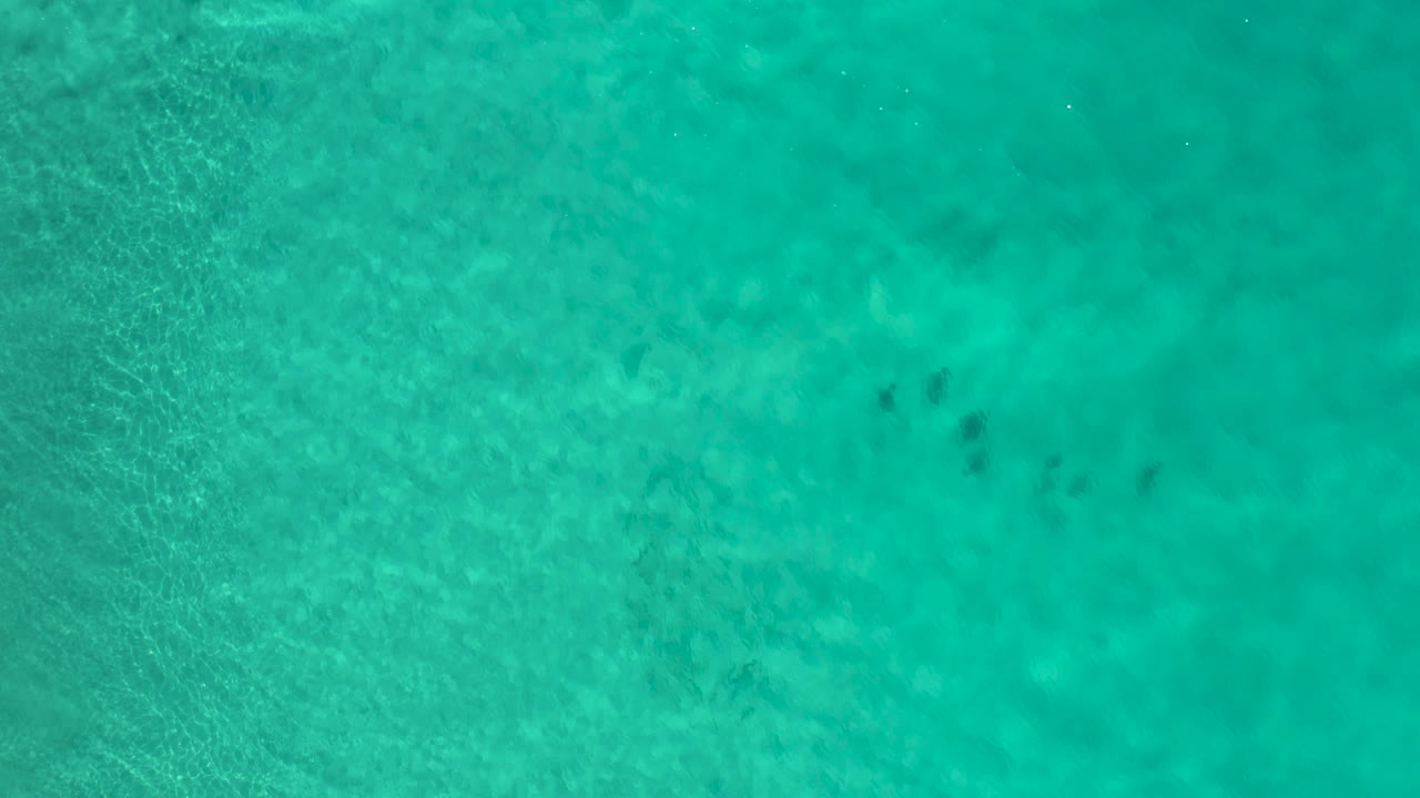 Overhead view of aqua water in Los Cabos, Mexico, with soft surface movement and several dark marine shapes grouped below center, no visible people.