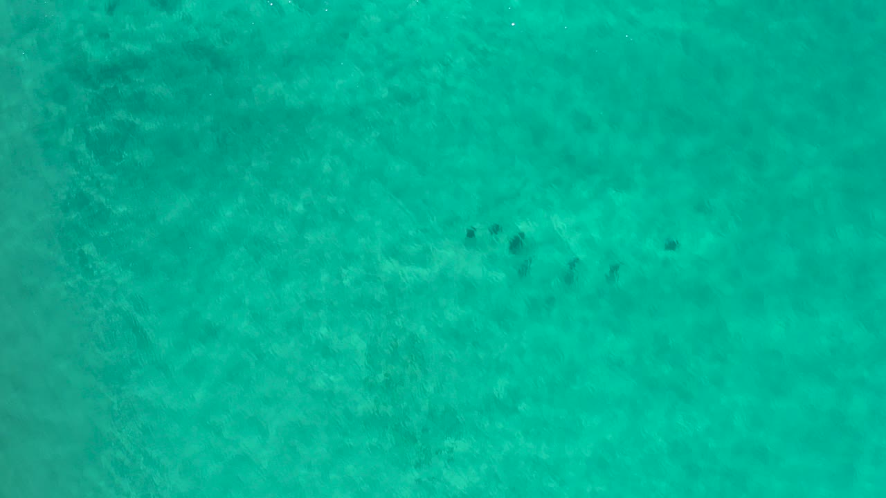 Overhead view of clear turquoise seawater over a pale seabed in Los Cabos, Mexico, with faint darker underwater patches and no visible people.