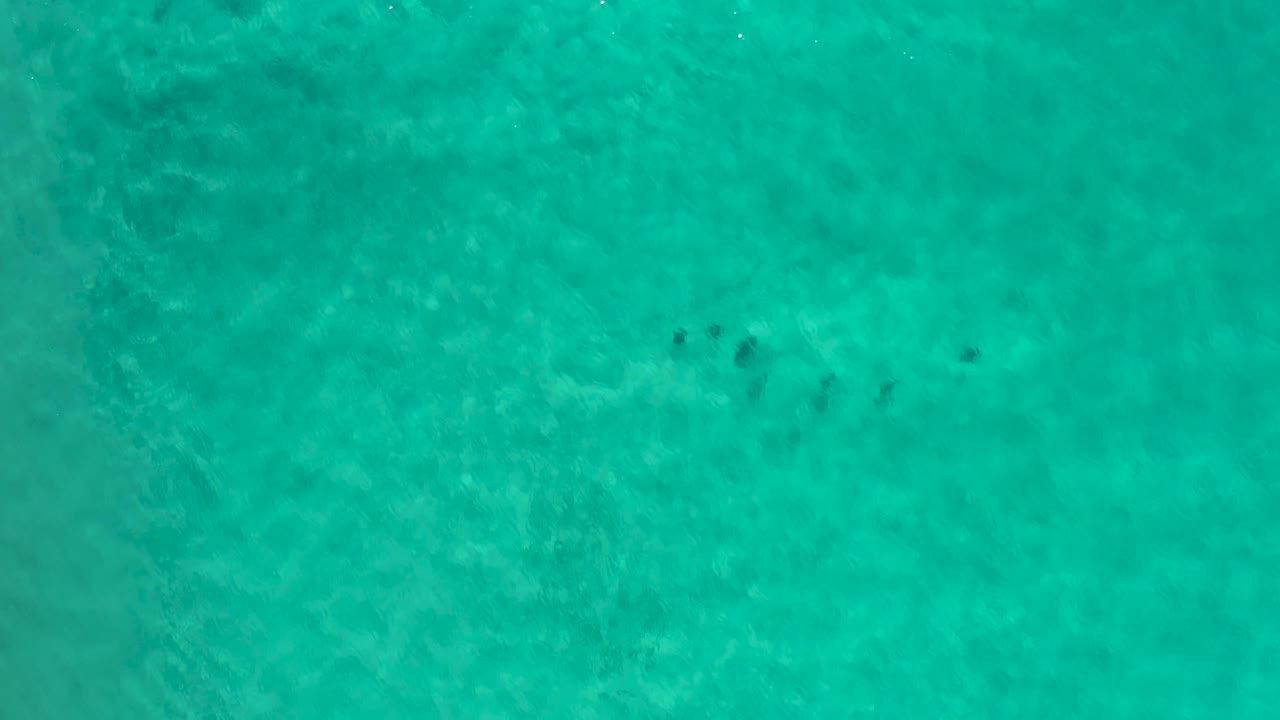 Clear teal seawater fills the frame in Los Cabos, Mexico, with soft sun ripple patterns and a small cluster of darker seabed marks near the upper area, no visible people.