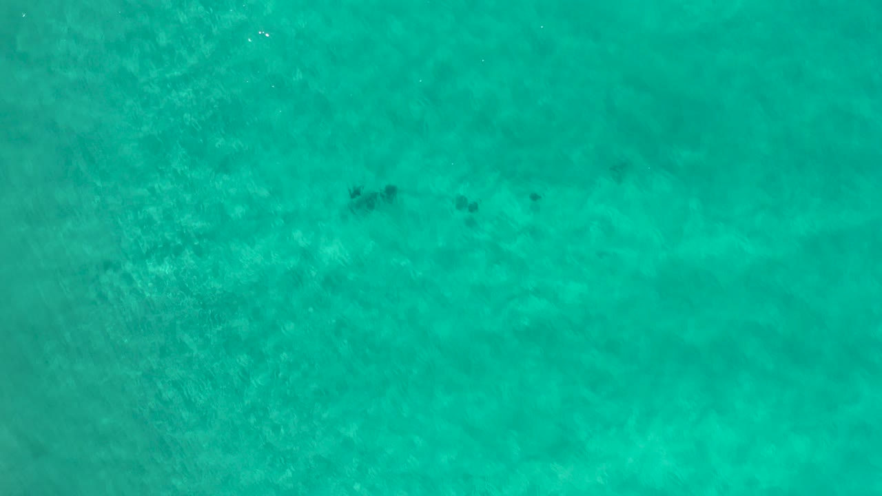 Turquoise green seawater with faint dark fish shapes below the surface.