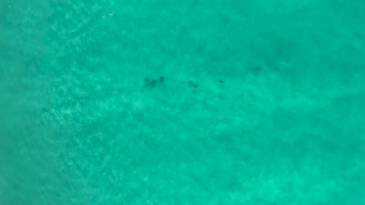 Overhead Los Cabos water frame with teal green color, soft underwater texture, a small dark fish cluster near the upper left, and no visible people.