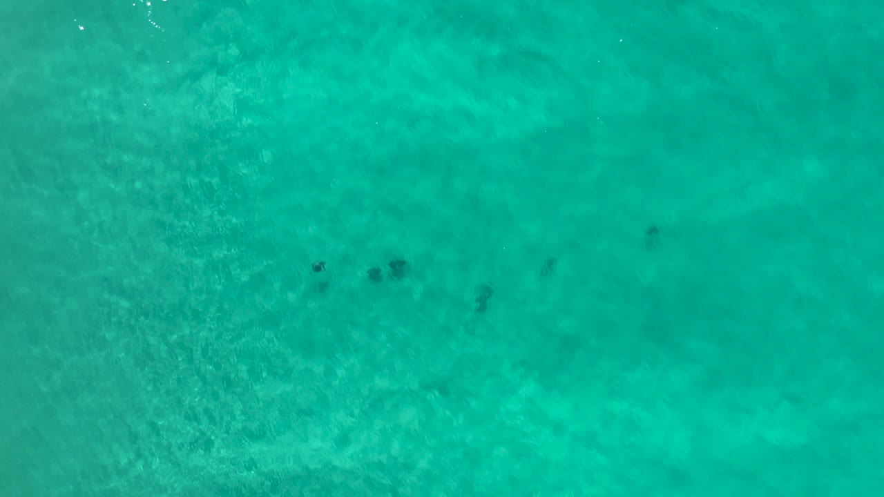 Opening overhead frame of clear turquoise-green sea water in Los Cabos, Mexico, with subtle ripples, faint seabed texture, and no visible people.