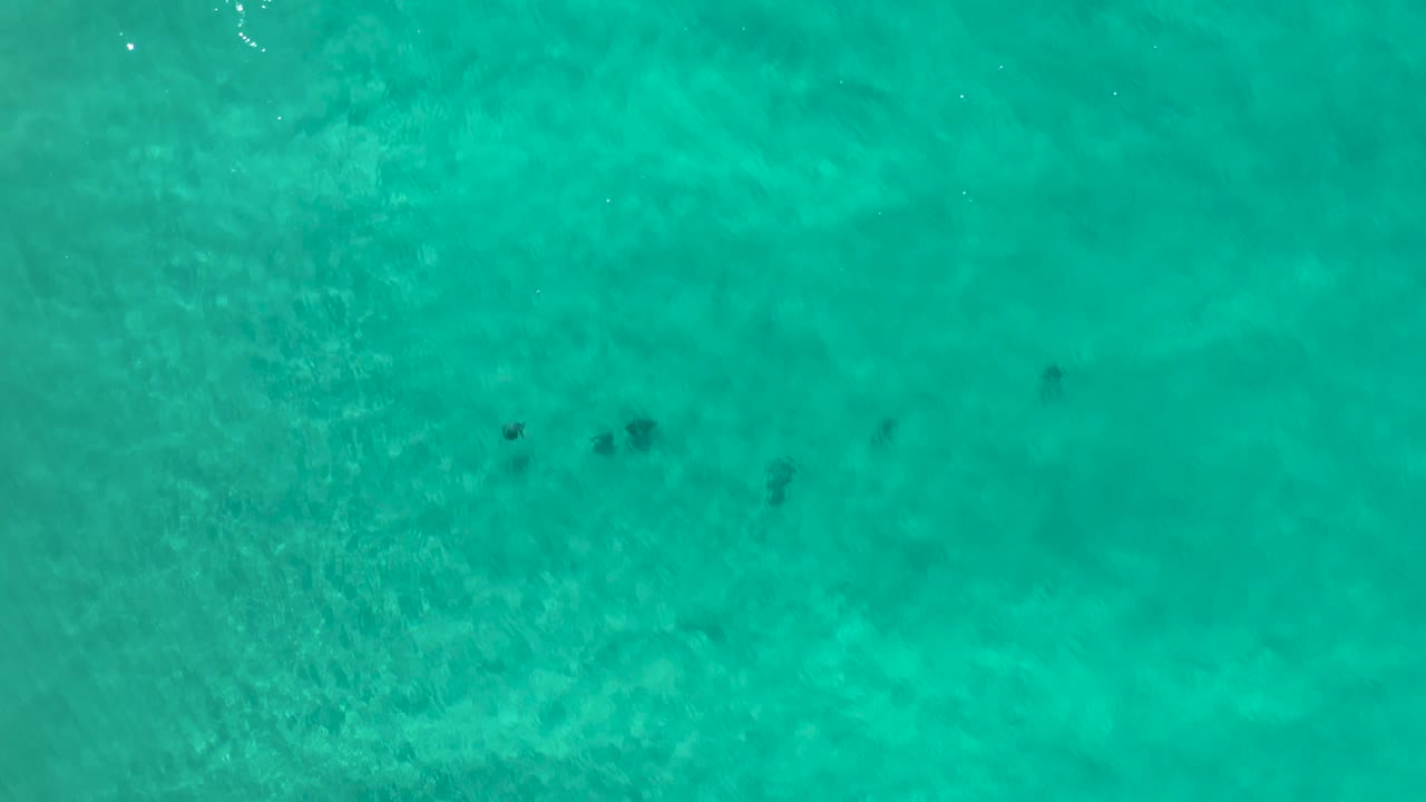 Overhead Los Cabos sea water frame with brighter rippled texture near the left side, darker underwater patches near the upper center, and no visible people.