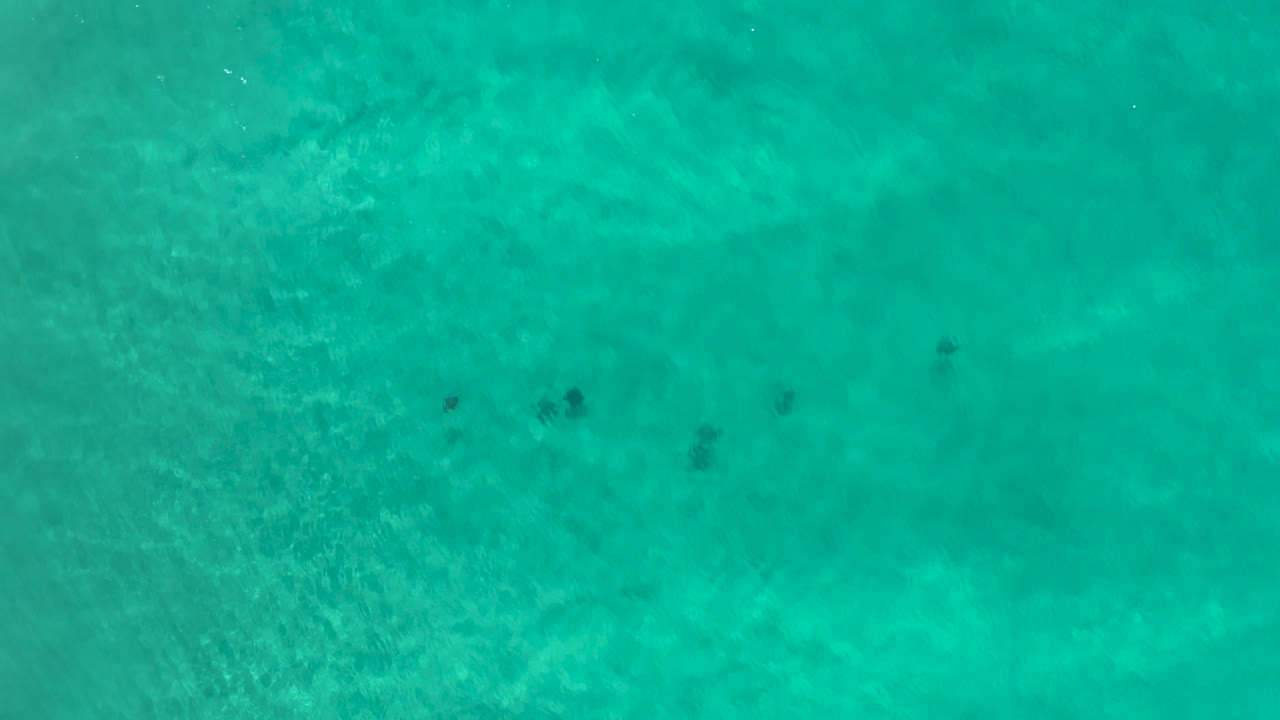 Straight-down aerial frame over emerald sea water in Los Cabos, Mexico, with clustered dark patches near the upper middle and no visible people.