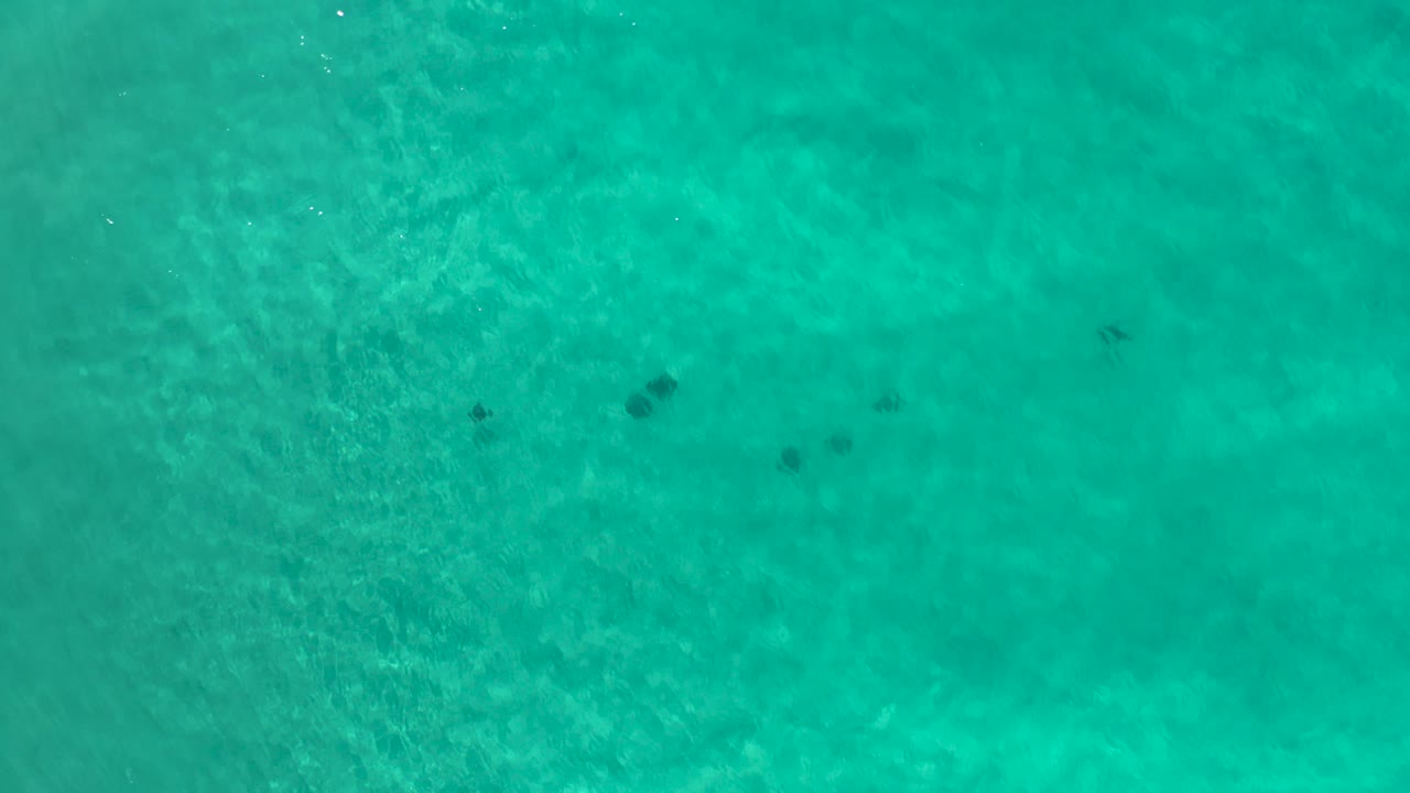 Turquoise shallow water with pale sand below