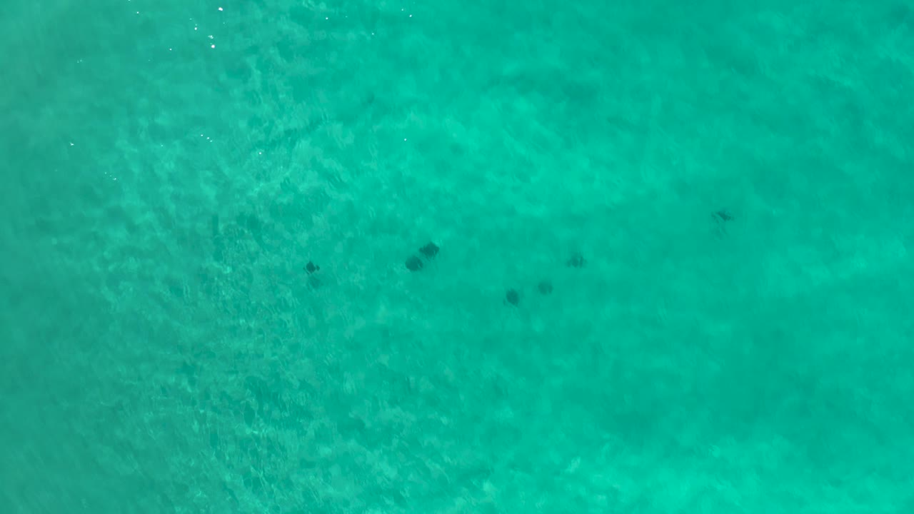 Overhead Los Cabos water frame with clear green color, faint sand patterns under the surface, a few dark submerged shapes near the upper center, and no visible people.