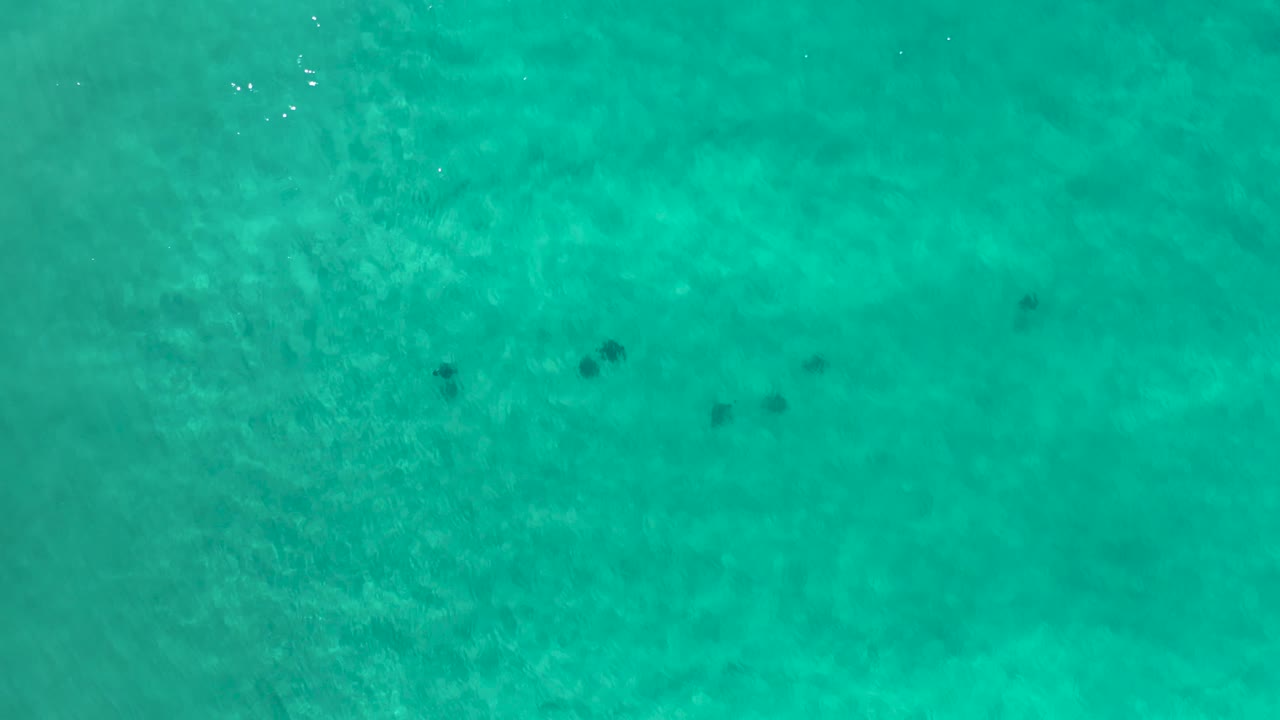 Top-down view of rippling green ocean water in Los Cabos, Mexico, with pale sandy texture below, scattered dark underwater marks near the upper right, and no visible people.