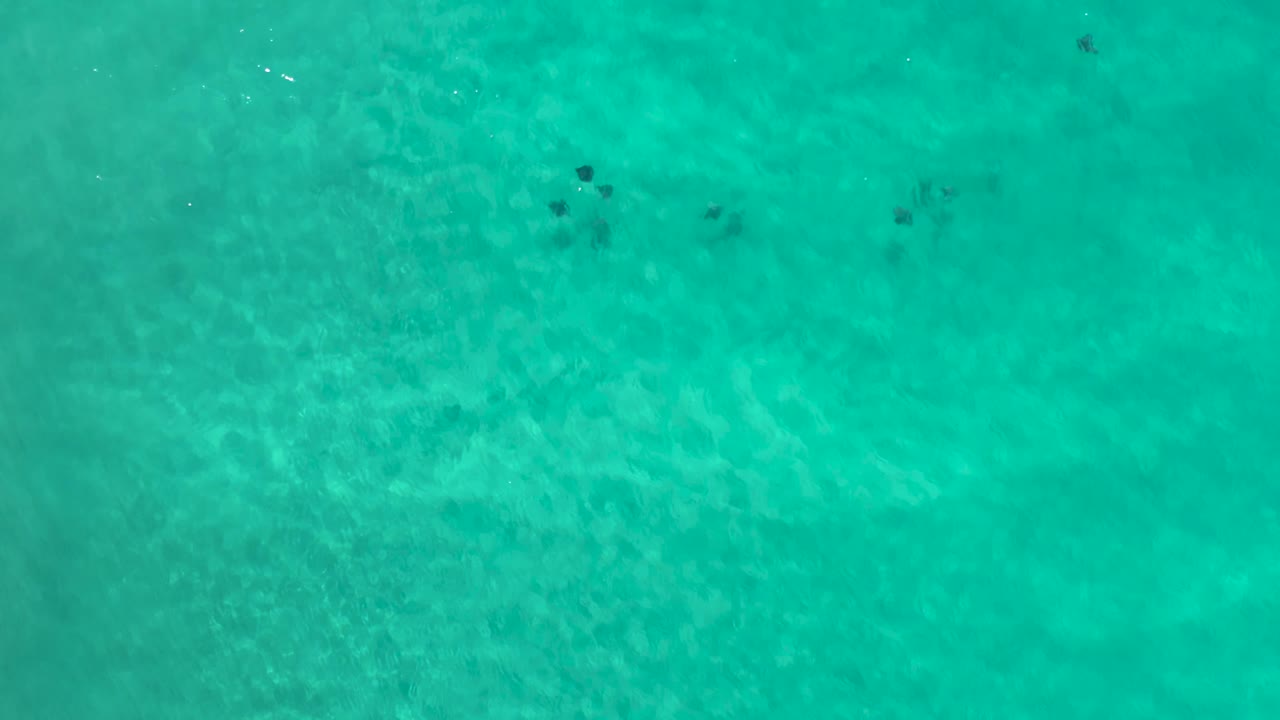 Overhead Los Cabos water frame with blue-green shallows, visible ripple patterns, several dark patches near the top center, and no visible people.