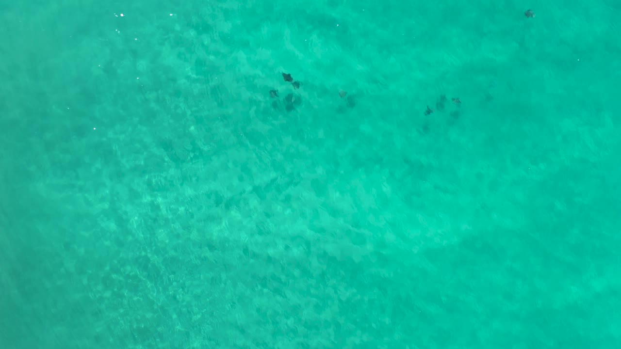 Aerial top view in Los Cabos showing turquoise water, pale sand patterns under the surface, scattered dark marks in the upper right, and no visible people.