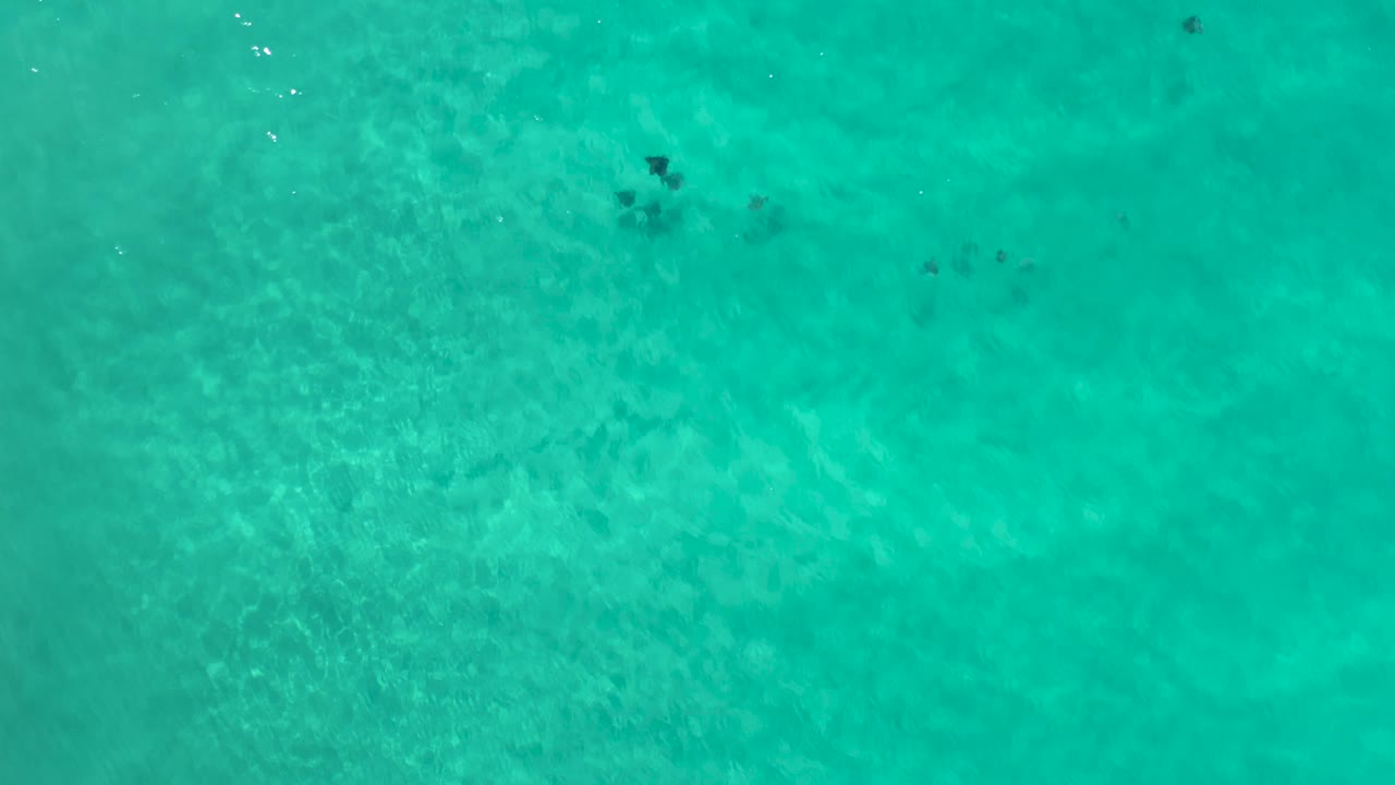 Top-down Los Cabos seawater view with a small dark patch near the center, light ripples across the blue-green surface, and no visible people.