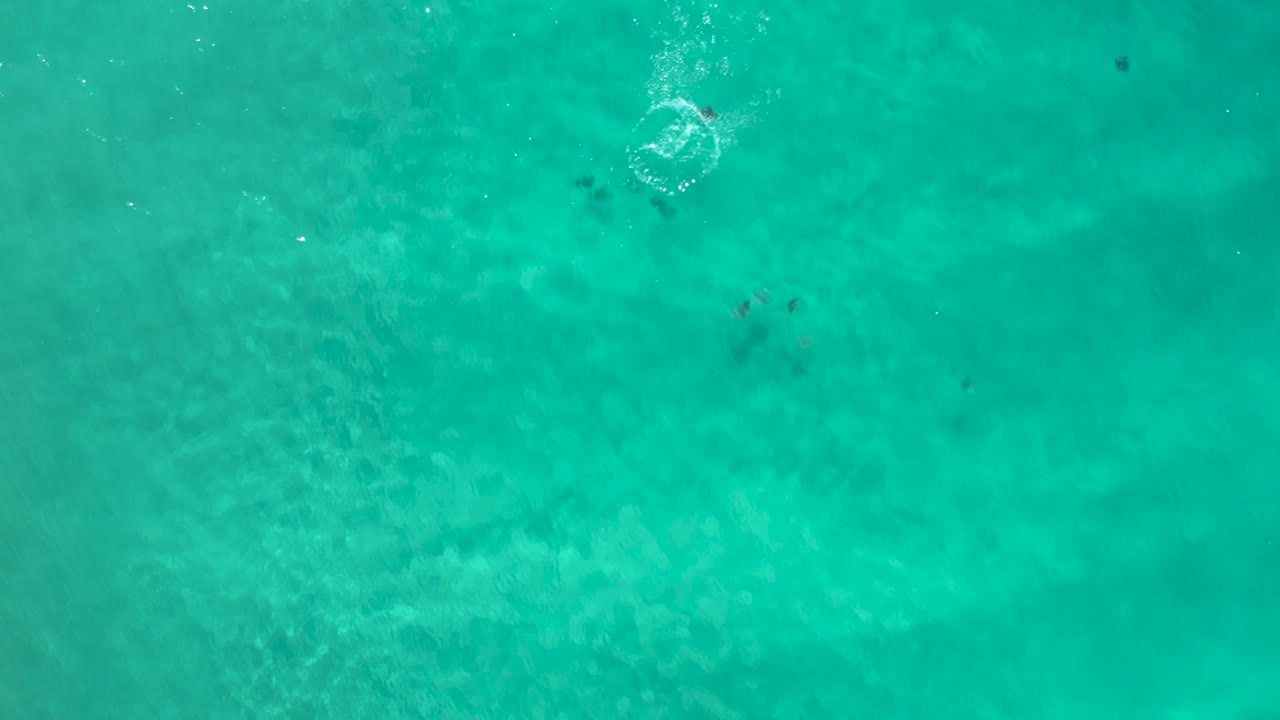 Aerial Los Cabos water frame with blue-green shallows, a faint darker patch near the upper area, scattered sun sparkle, and no visible people.