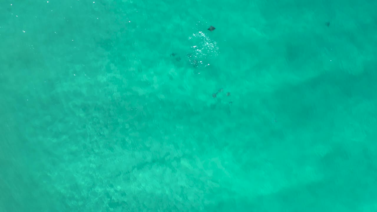 Top-down view of clear turquoise water in Los Cabos with bright sun flecks near the upper right, soft sand texture below, and no visible people.