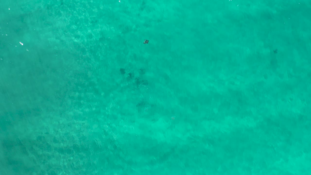 Overhead view of clear turquoise water in Los Cabos, Mexico, with scattered darker underwater patches and no visible people.