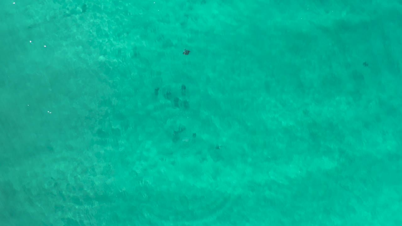 Overhead Los Cabos ocean frame with brighter surface shimmer, turquoise water, darker submerged patches, and no visible people.