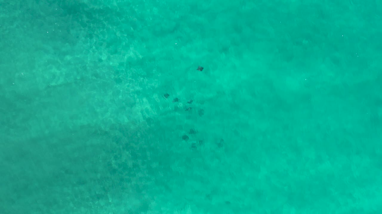 Top-down view of clear turquoise water in Los Cabos, Mexico, with faint seabed texture, small ripples, scattered dark marine shapes, and no visible people.