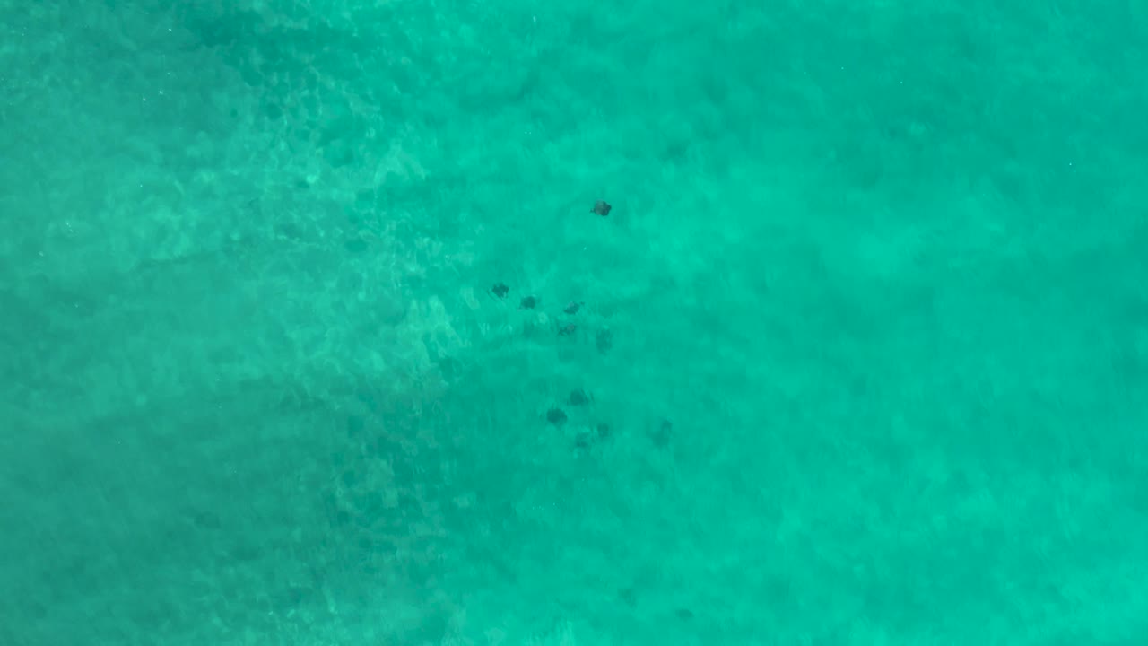 Overhead Los Cabos ocean frame with blue-green water, mottled bottom texture, a small cluster of dark shapes below the surface, and no visible people.