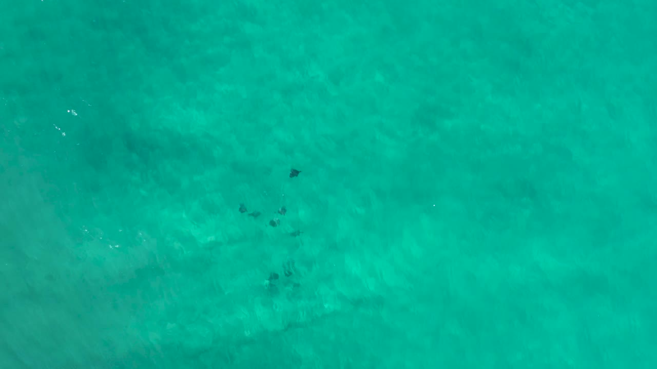 Clear green-blue ocean water in Los Cabos, Mexico, viewed from above with a small cluster of darker underwater patches near the center and no visible people.