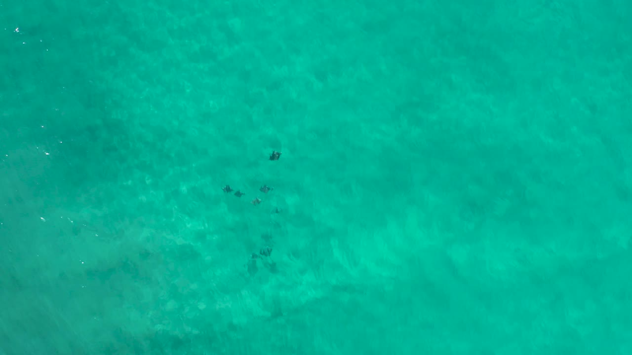 Aerial view of Los Cabos ocean water with rippled turquoise surface, pale underwater variation, scattered dark marks, and no visible people.
