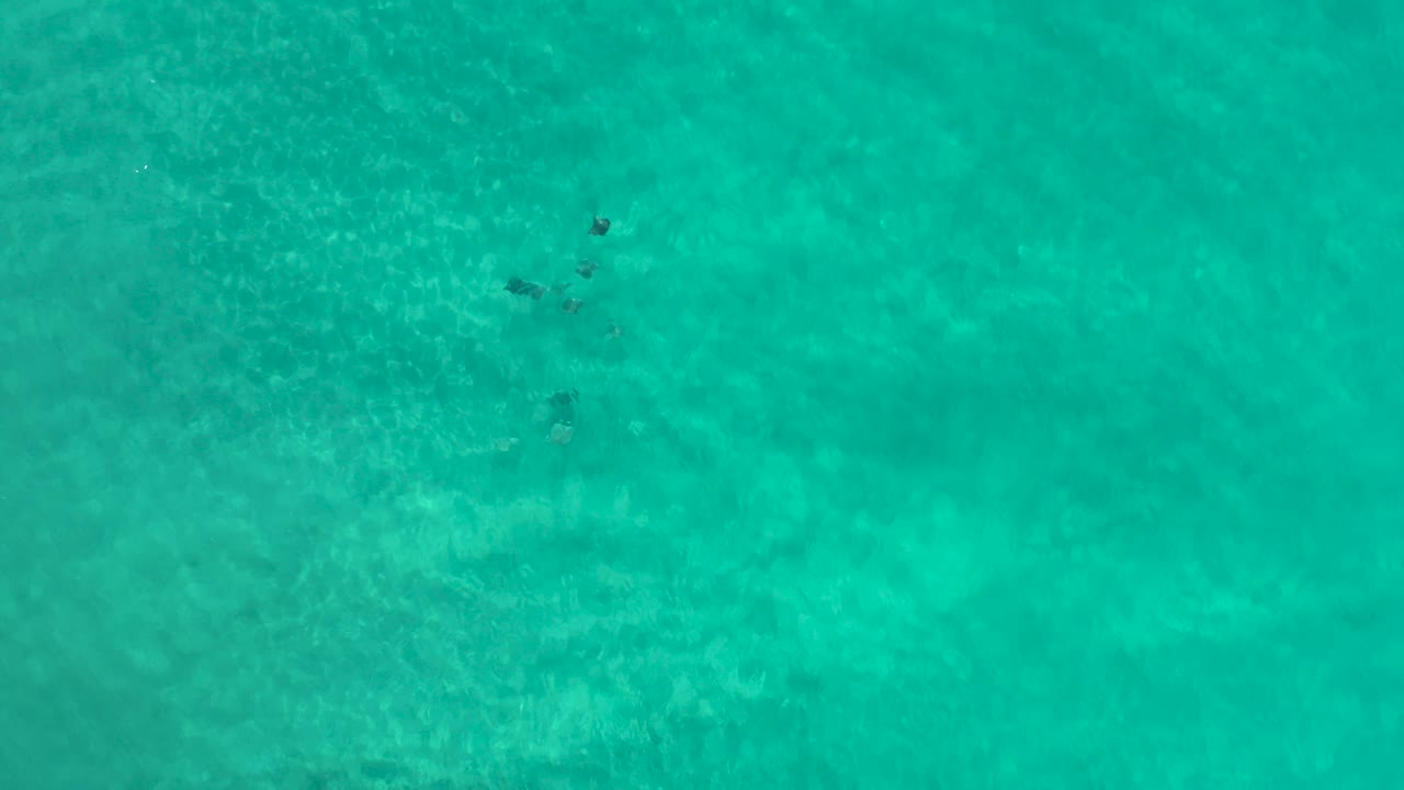 Aerial view over turquoise water in Los Cabos, Mexico, with pale seafloor texture and a small dark underwater shape near the upper left, no visible people.