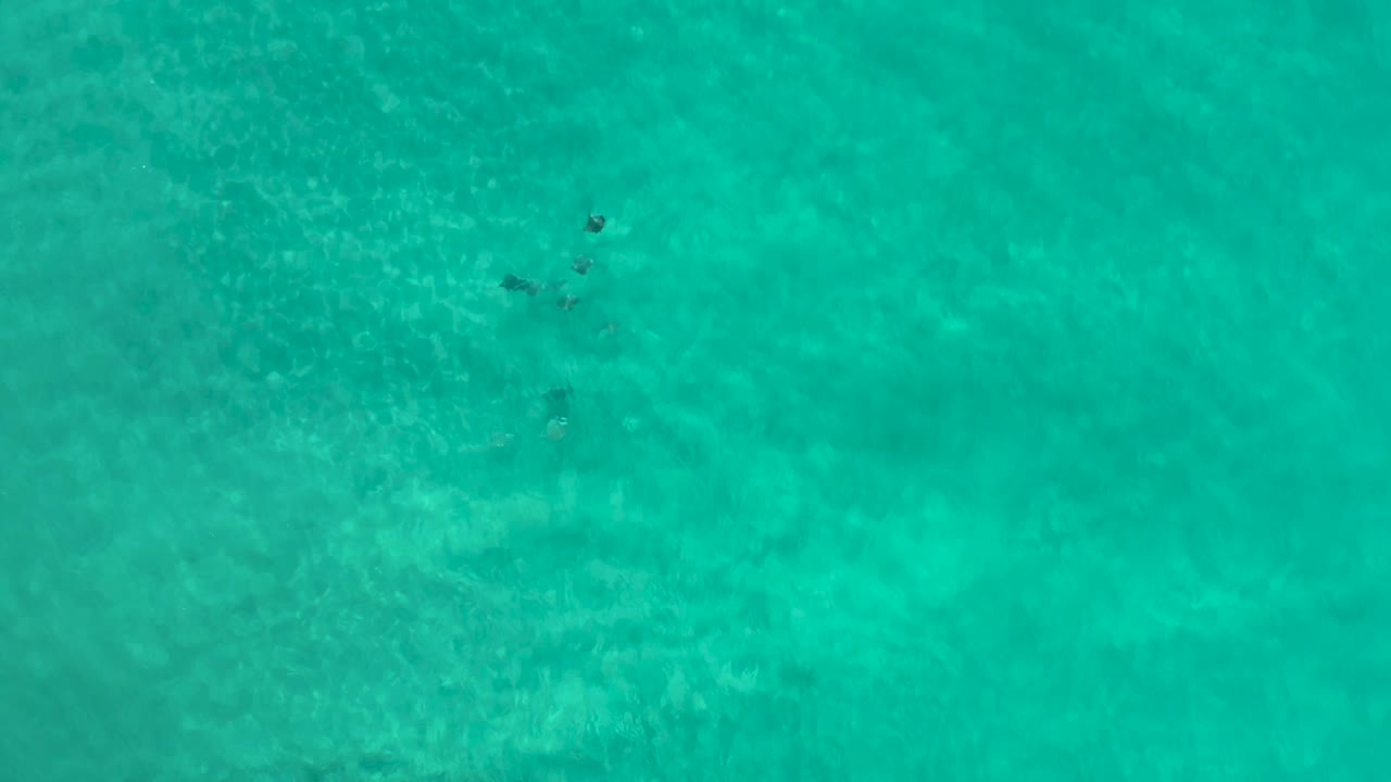 Straight-down aerial frame in Los Cabos, Mexico, showing rippled turquoise ocean and clustered dark underwater marks near the upper center, no visible people.