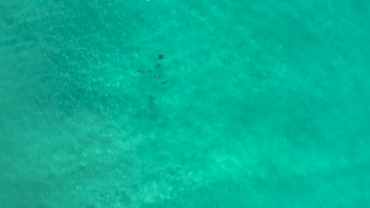 Overhead view of Los Cabos ocean water with a faint dark underwater form near the upper portion and broad teal color across the frame, no visible people.