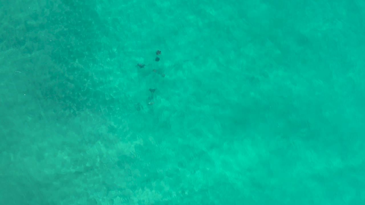 Aerial Los Cabos ocean frame with the dark underwater subject left of center and mottled pale seafloor visible beneath the clear water, no visible people.