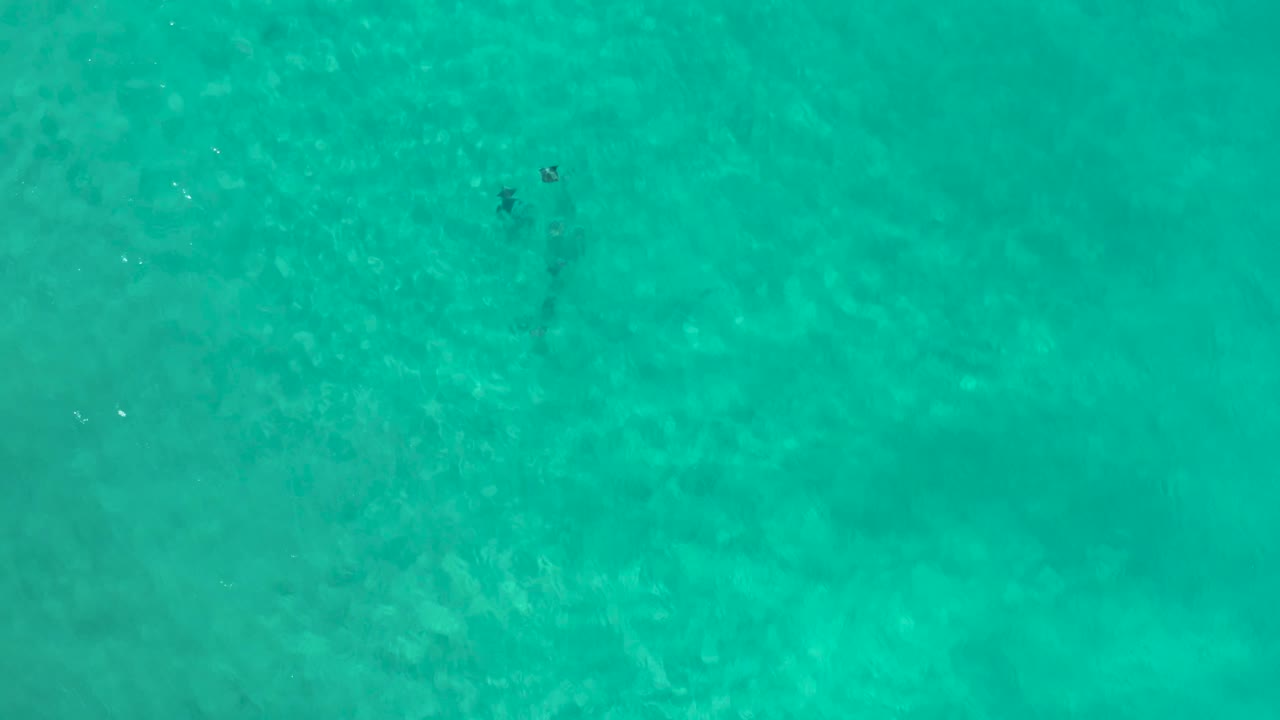 Blue-green ocean surface fills the frame in Los Cabos, Mexico, with soft underwater tonal shifts and no visible people.