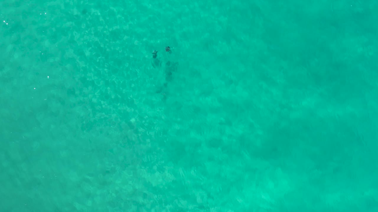 Aerial overhead frame of shallow aqua water in Los Cabos, Mexico, with mottled seafloor texture and no visible people.
