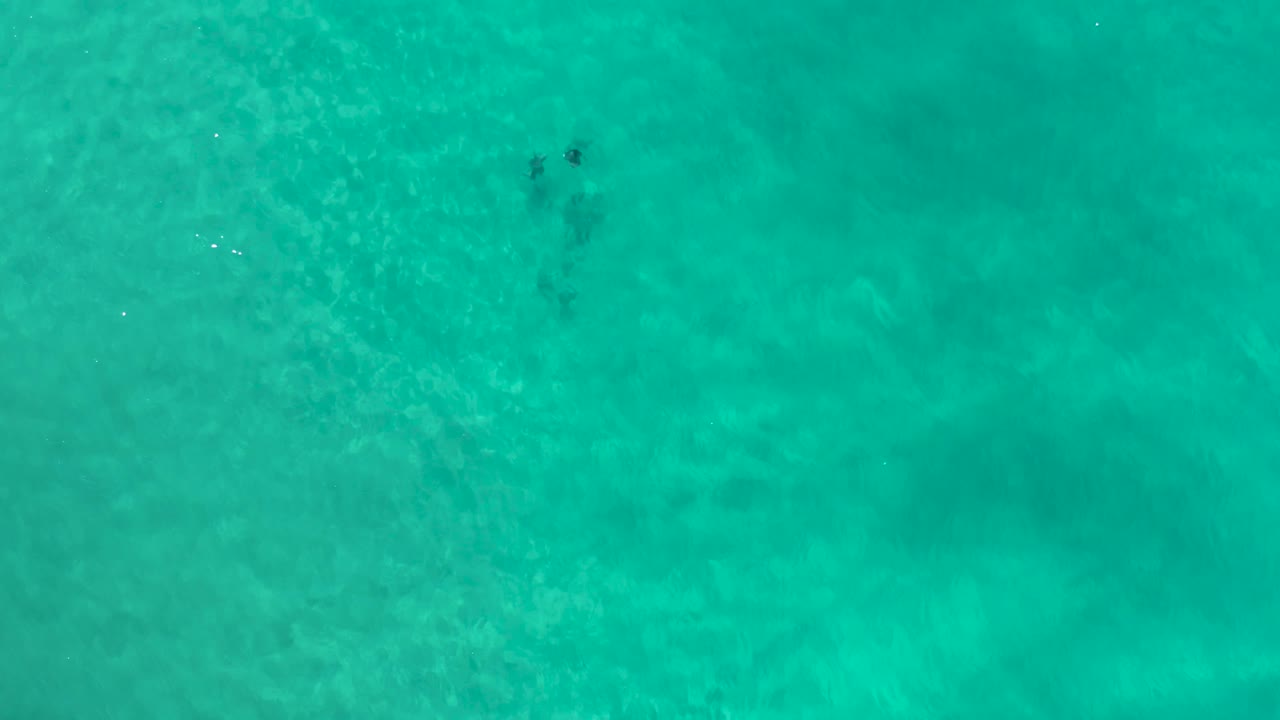 Turquoise ocean water fills the Los Cabos, Mexico frame, with a small cluster of darker underwater patches toward the left and no visible people.