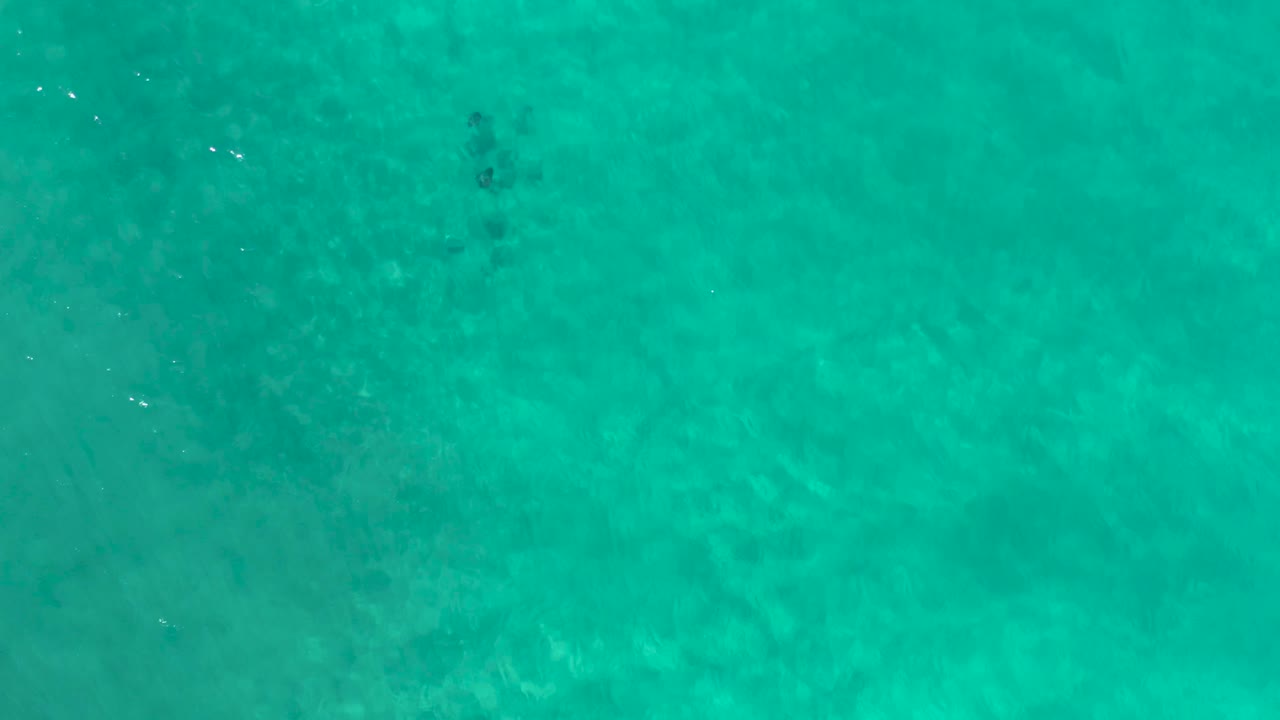 Blue-green Los Cabos ocean surface shows small ripples and darker shapes below the water, with no visible people or shoreline.