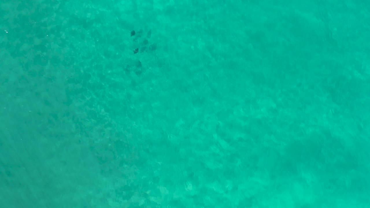 Turquoise sea surface in Los Cabos fills the image with soft shimmering highlights and no visible people, horizon, or beach.