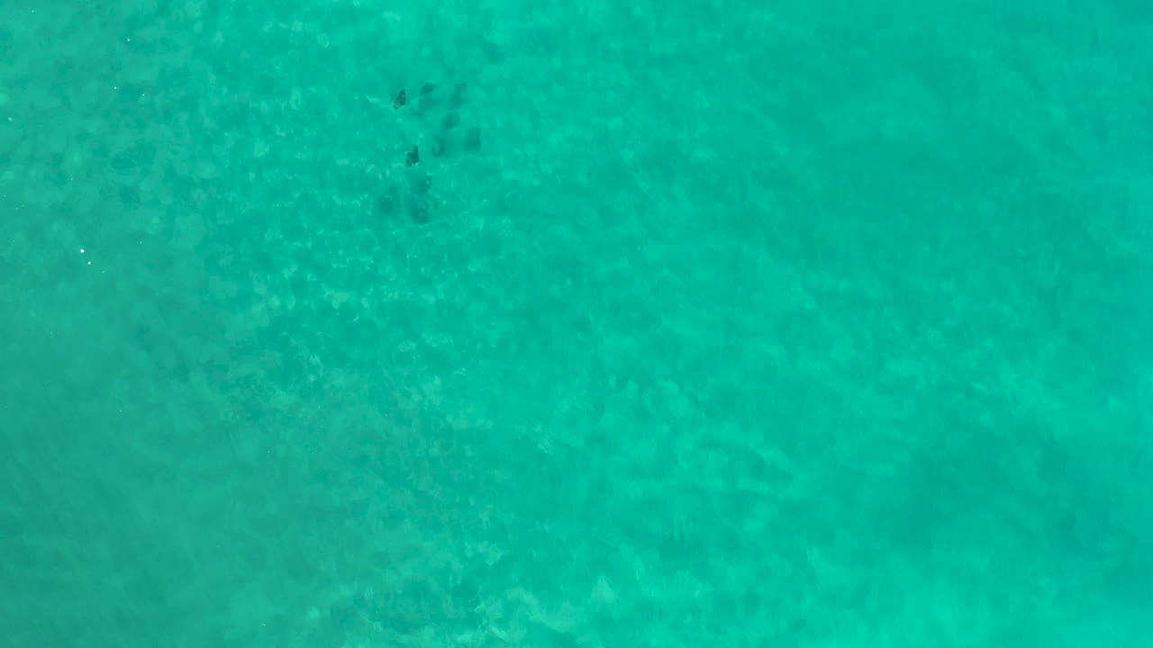 An overhead-style view shows teal Los Cabos ocean water with mottled submerged texture and no visible people or vessels.