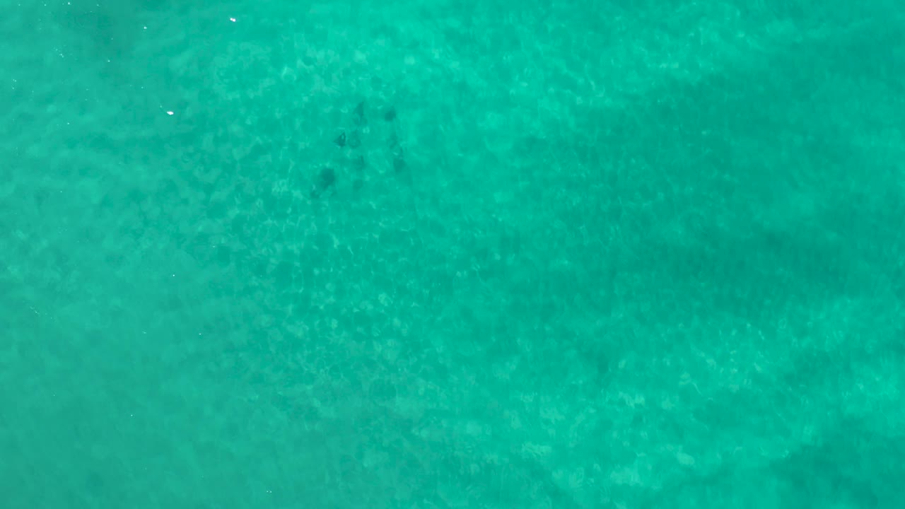 Clear turquoise ocean water sits over a mottled sandy bottom in Los Cabos, with no swimmers or objects visible.