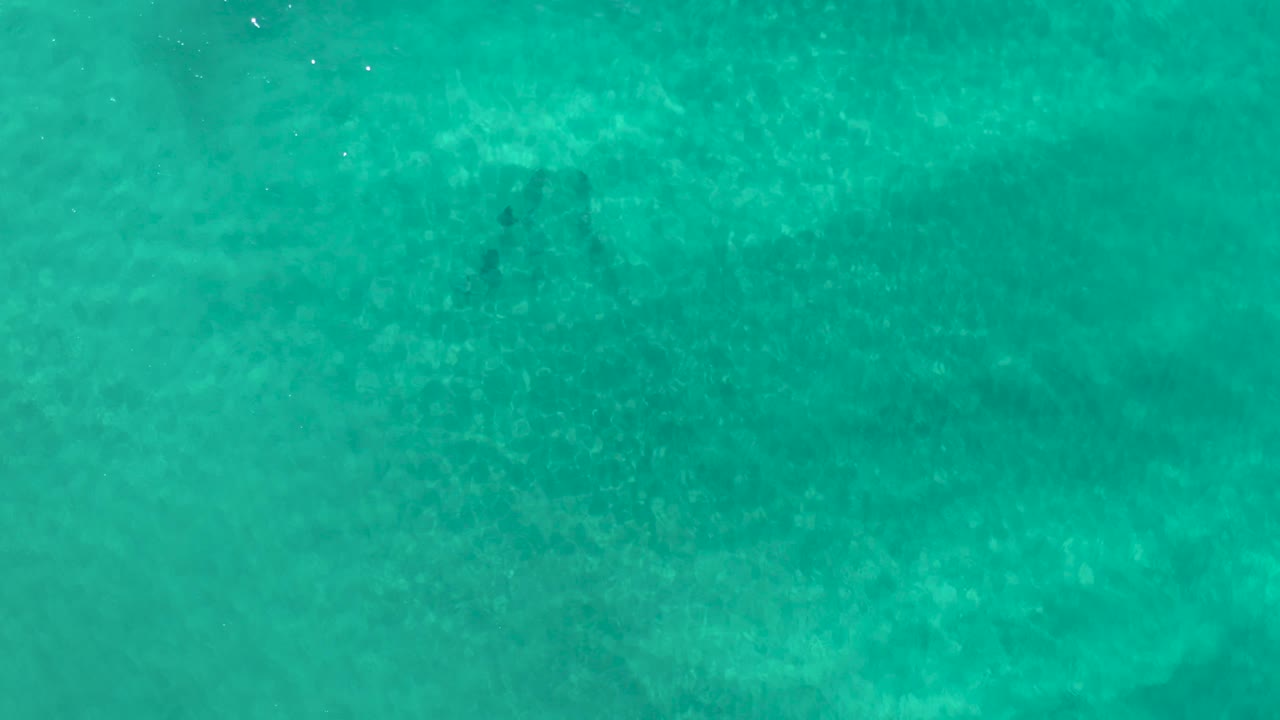 Green sea water covers the full frame while the sandy bottom remains faintly visible below, with no visible people.