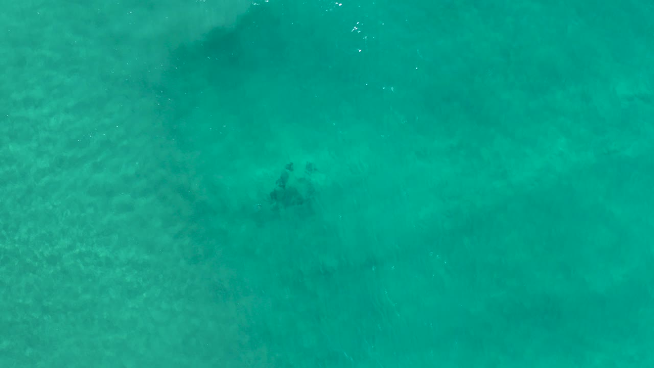 Overhead view of turquoise ocean water in Los Cabos, Mexico, with faint darker patches beneath the surface and no visible people.