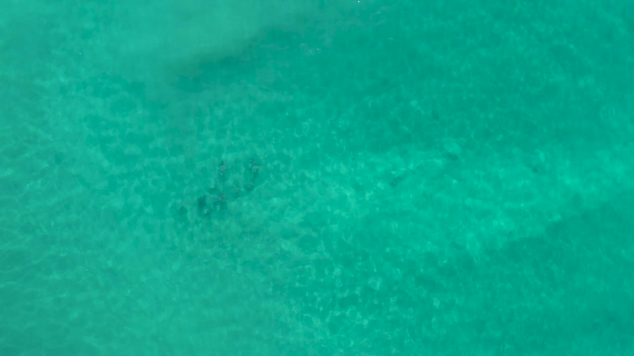 Aerial frame over clear blue-green Los Cabos ocean, showing pale underwater texture and a small dark marine cluster low in the frame, with no visible people.