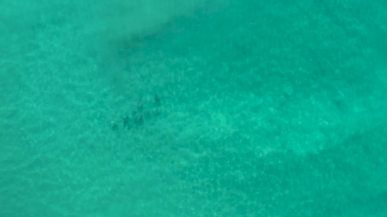 Top-down Los Cabos ocean view with turquoise water, bright rippled surface, and a darker unidentified marine group near the lower center, with no visible people.