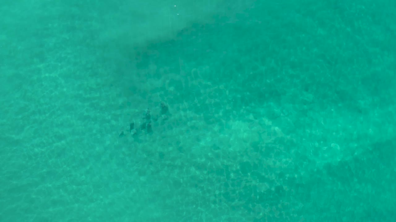 Clear aerial view of Los Cabos ocean water, with small dark marine shapes set against sandy underwater patterns and no visible people.