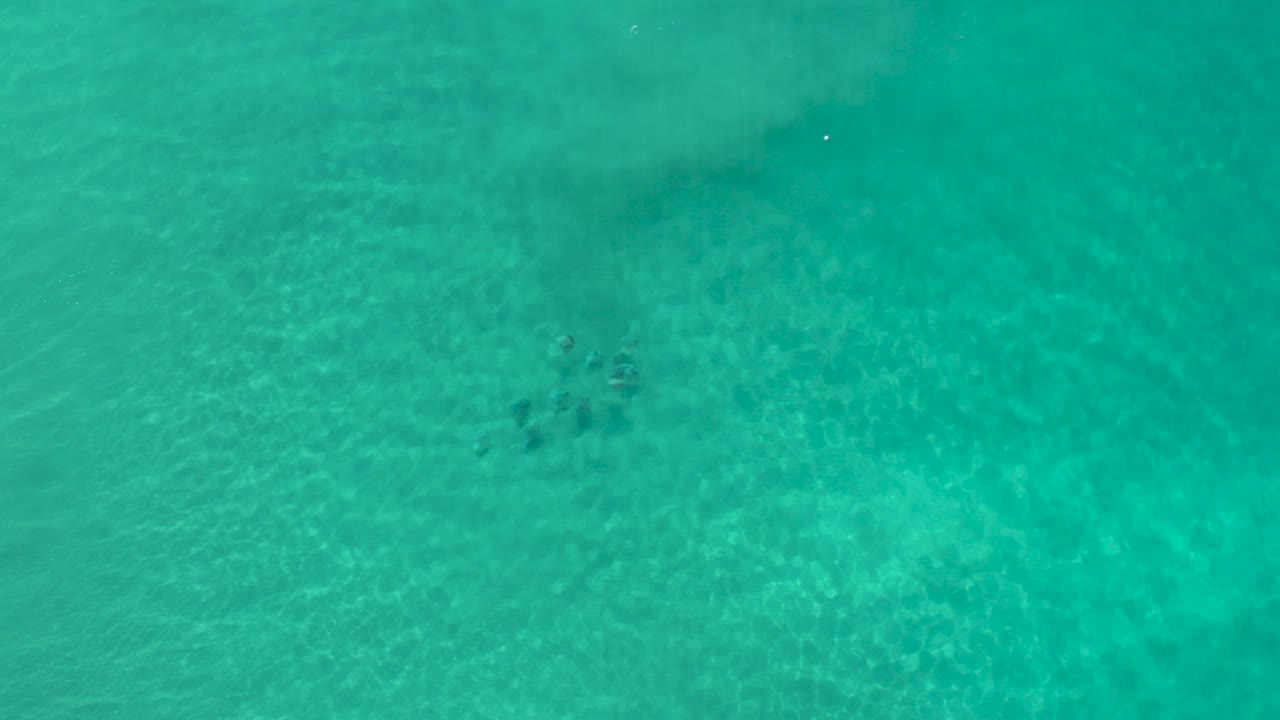 Turquoise shallow water with faint fish clusters below the surface
