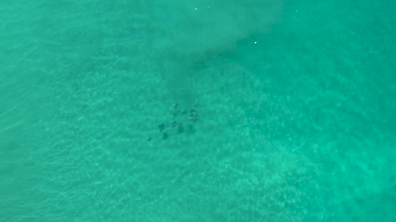 Clear green-blue shallows in Los Cabos, Mexico, with a small school of fish near the upper center and no visible people.