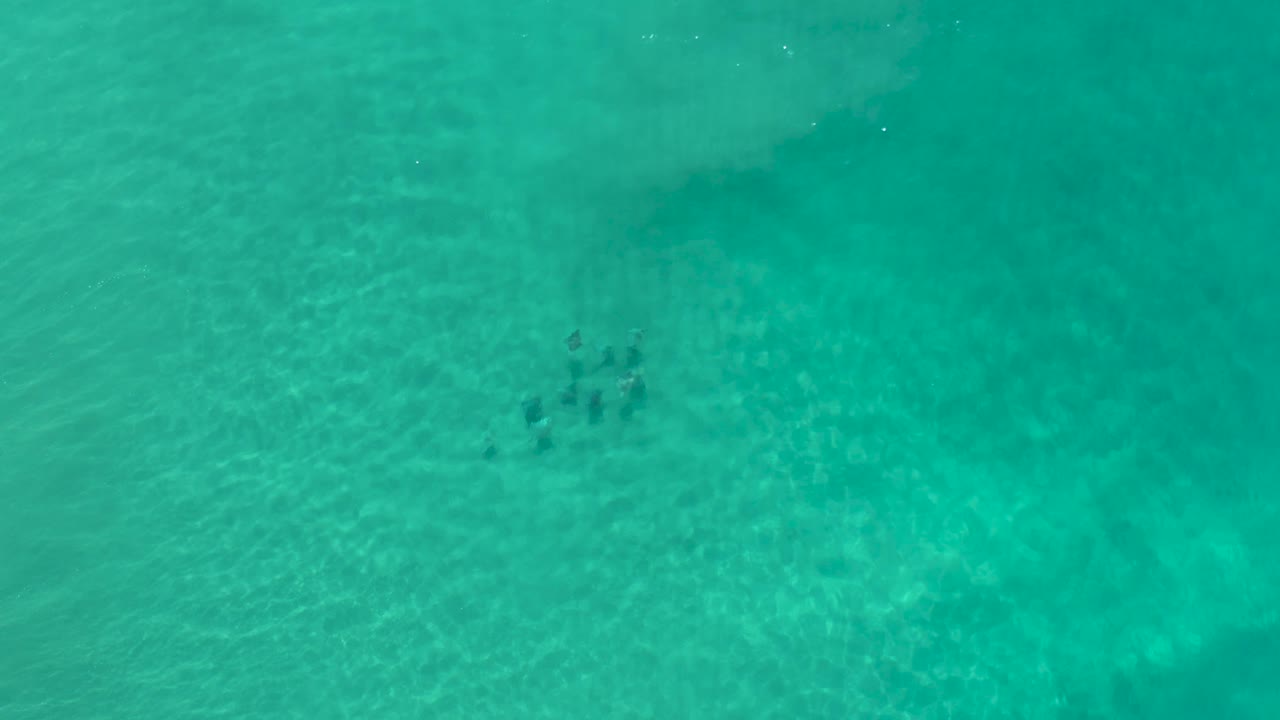 Aquamarine shallow water in Los Cabos, Mexico, with a small dark school of fish near the upper middle and no visible people.