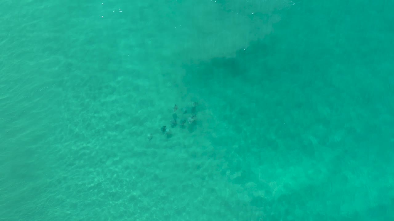 Top-down Los Cabos, Mexico shallows with a fish cluster near the lower left, soft water texture, and no visible people.