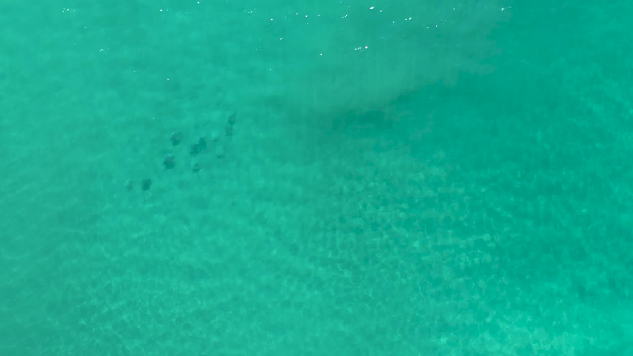 Top-down Los Cabos sea view with turquoise-green water, pale seabed pattern, and several small fish marks slightly left of center, no visible people.