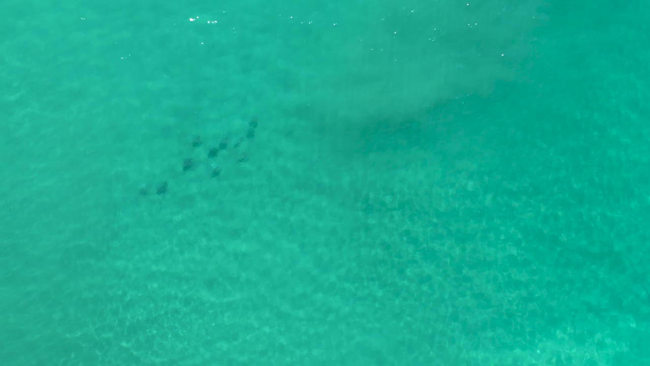 Clear green water seen from above in Los Cabos, Mexico, with a darker fish group near the upper middle and subtle wave bands across the sandy bottom, no visible people.